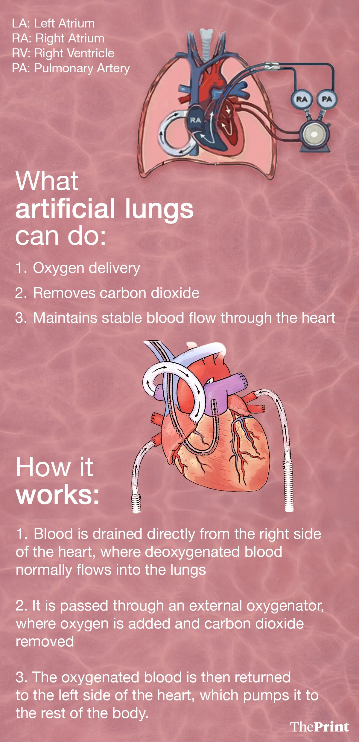Illustration: Shruti Naithani | ThePrint