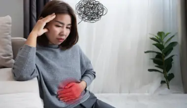 Scientists discover protein that could heal leaky gut and ease depression