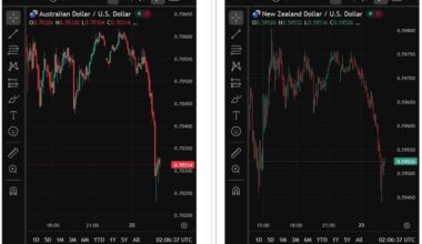 NZD, AUD fall as RBNZ says inflation returning to target, no preset path