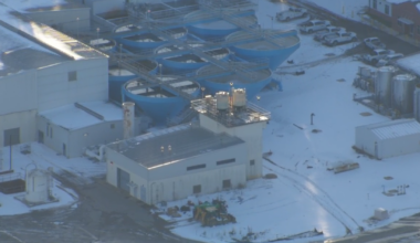 Extreme cold causing water treatment issues in Johnston County, county says :: WRAL.com