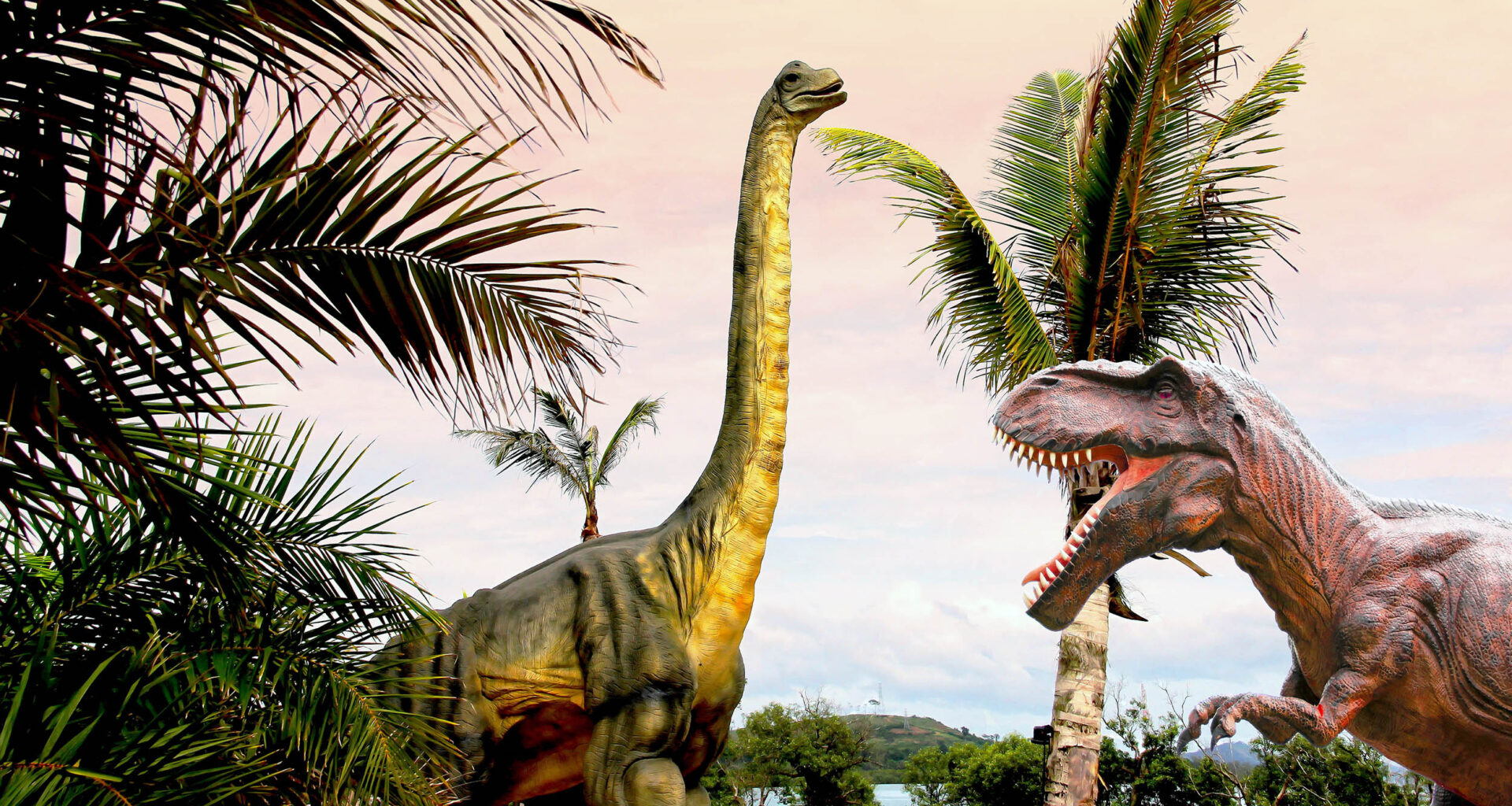 How Tyrannosaurus rex ate enough calories to grow so large