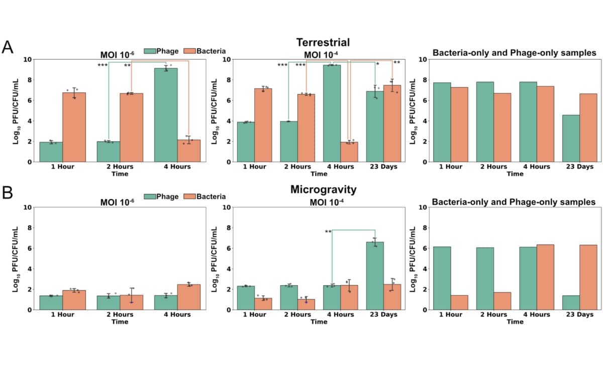 Bacteriophage T7 Growth Is Inhibited By Microgravity