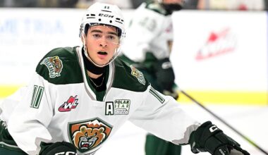 Carter Bear, Detroit Red Wings