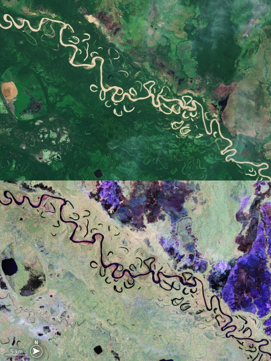 Bolivian Forest Comparing Sentinel 2 And Biomass Article