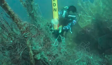 Bangkok Post - Similan divers lift ‘ghost nets’ from deep‑sea coral reef