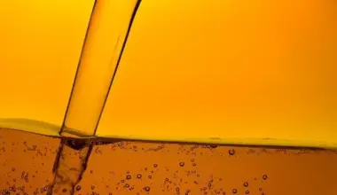 United States' Crude Rapeseed Oil Market To See Slower Growth at 1.0% Volume CAGR Through 2035 - News and Statistics