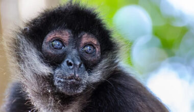 Yahoo lifestyle home