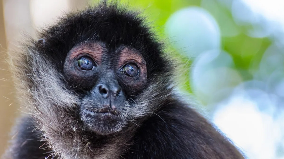 Yahoo lifestyle home