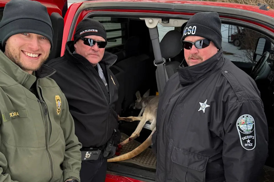 Deputies rescue kangaroo and joey on the loose. Nelson County Sheriff's Office