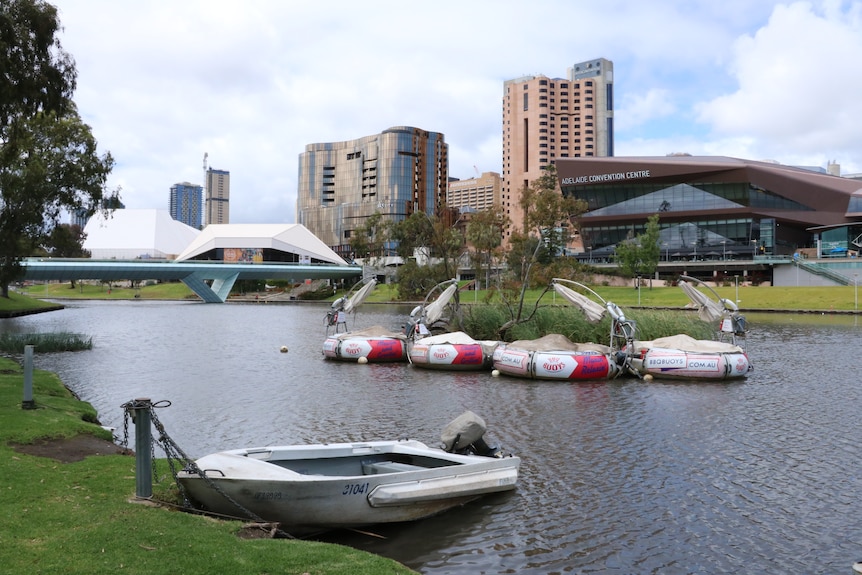 A scenic photograph of the River Torrens with city buildings in the background