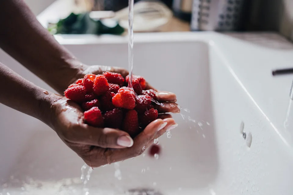 A cropped photo of an anonymous female holding organic raspberries under water after their harvest.