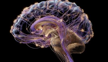 Neuroscience News logo for mobile.