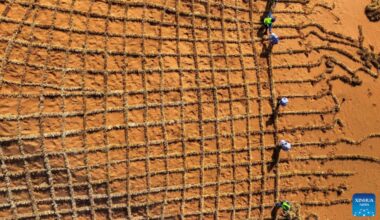 China invention turns desert sand into fertile soil in just 10 months