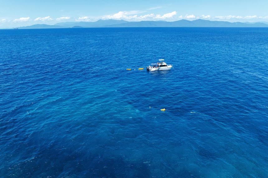 The Great Reef Census involves more than 100 vessels.