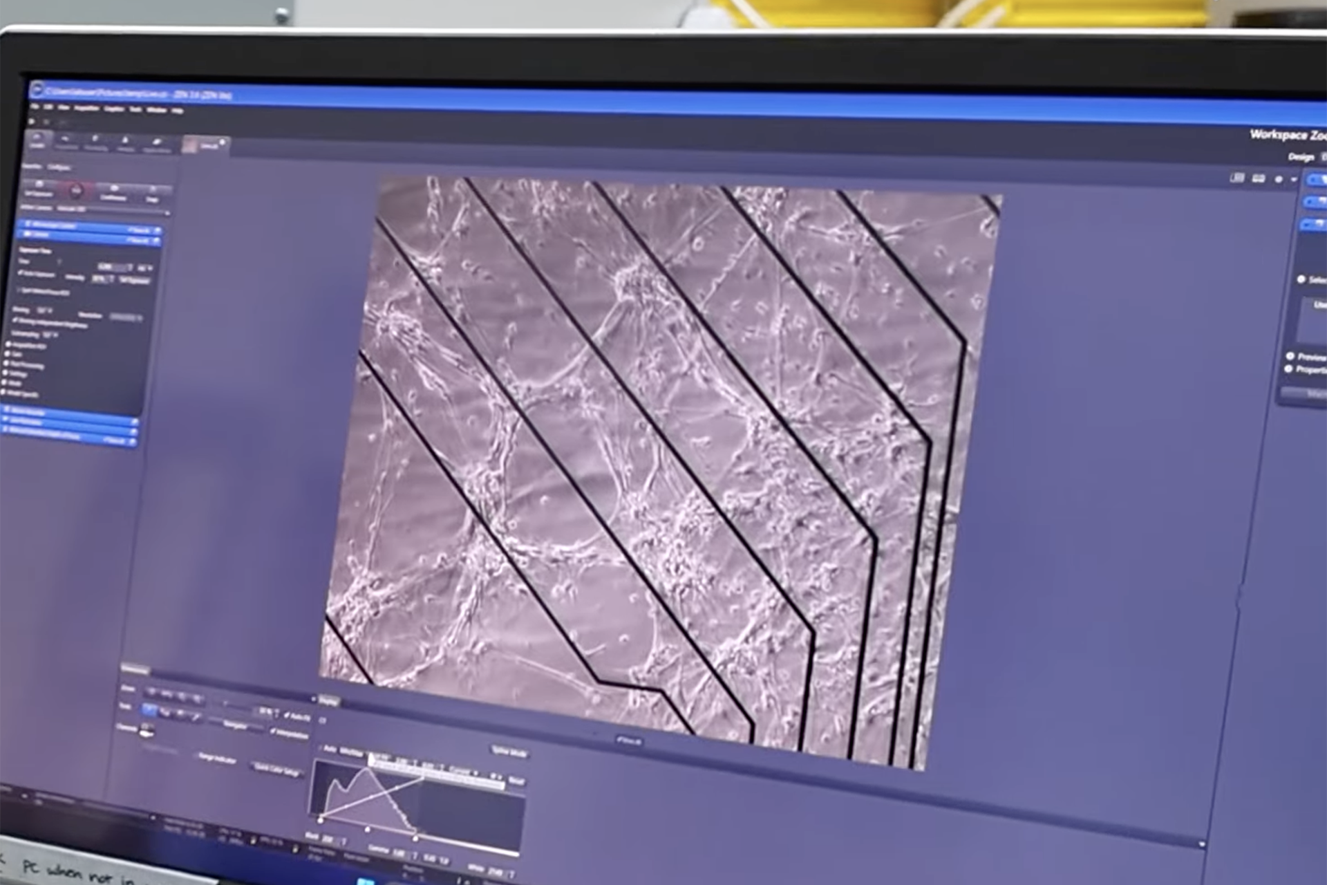 CL-1 neural computing system