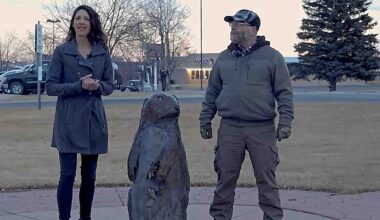 Cowboy State Daily logo