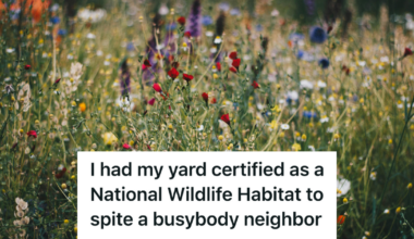 Grocery store employee working in the produce section