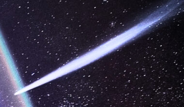 A Newly Discovered Comet May Soon Appear Bright in Our Skies : ScienceAlert