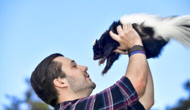 Skunk mating season brings chaos to CA neighborhood: 'Unwanted for Valentine’s Day'