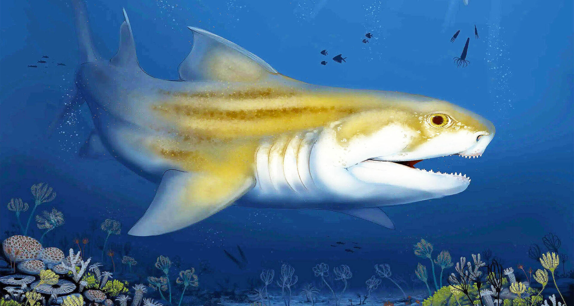 Two prehistoric sea monsters found in the world's largest cave