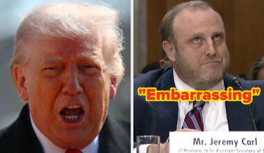 "I Cannot Believe How Incredibly Stupid This Country Has Become": This Trump Nominee Was Asked To Define "White Culture," And Things Got Awkward So Quickly