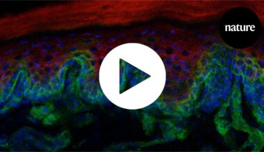 These mysterious ridges could be the secret to younger skin