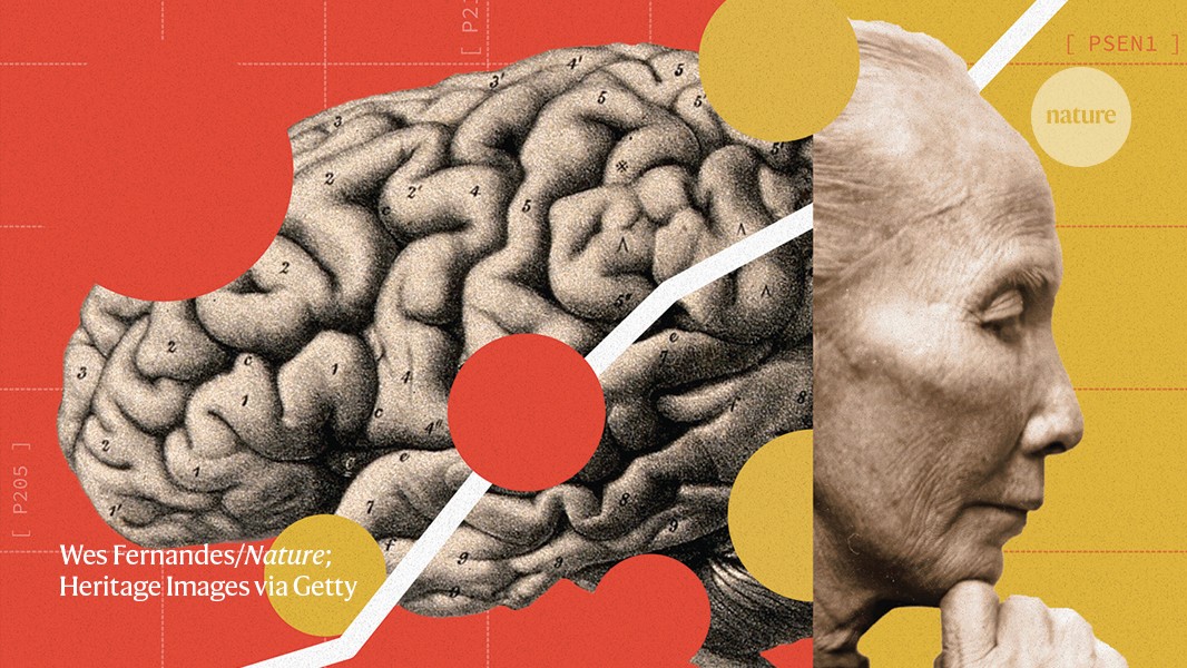 China is waging war on Alzheimer’s. What can its approach teach the rest of the world?