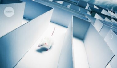 This compound enhances long-term memory of mice — but only in females