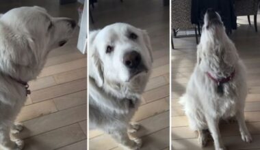 Yahoo lifestyle home