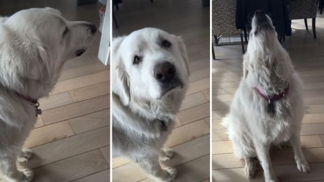 Yahoo lifestyle home