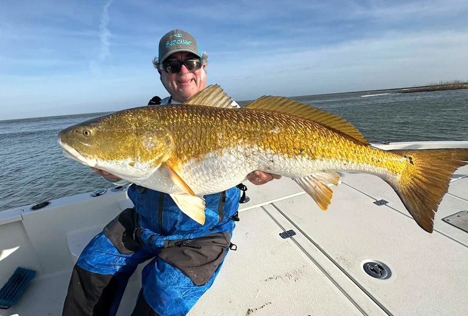 A Louisiana guide with a big bull redfish.