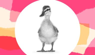 My husband has the "perfect" idea to make our daughter's Easter unforgettable. It's my nightmare.