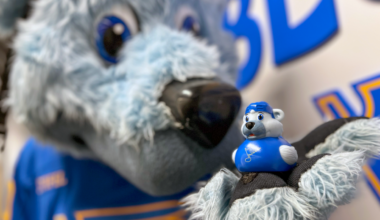 Duck, Duck, Blues scavenger hunt returns Feb. 27