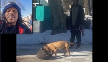 Atlantic City police investigating after man posts dog fight