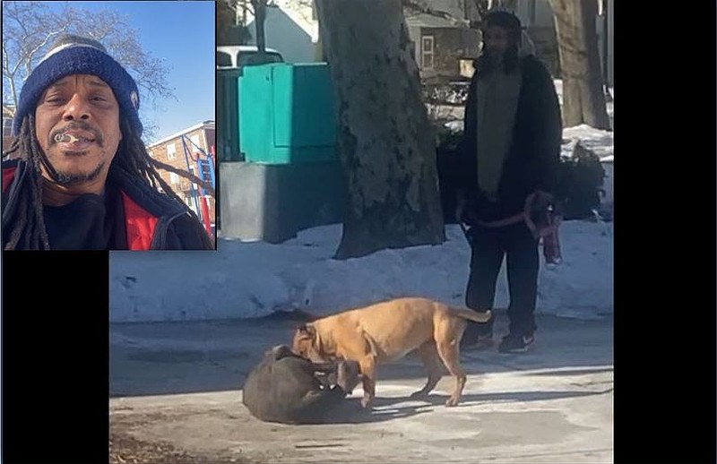 Laquay Lewis, inset, livestreamed the dog attack Friday morning. A man who had taken a third dog away can be seen watching in the screenshot.