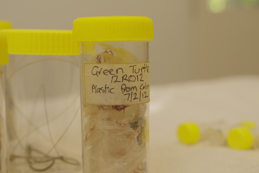 A photo of a clear tube with a yellow containing plastic waste with a label reading Green Turtle