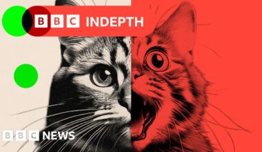 AI 'slop' is transforming social media