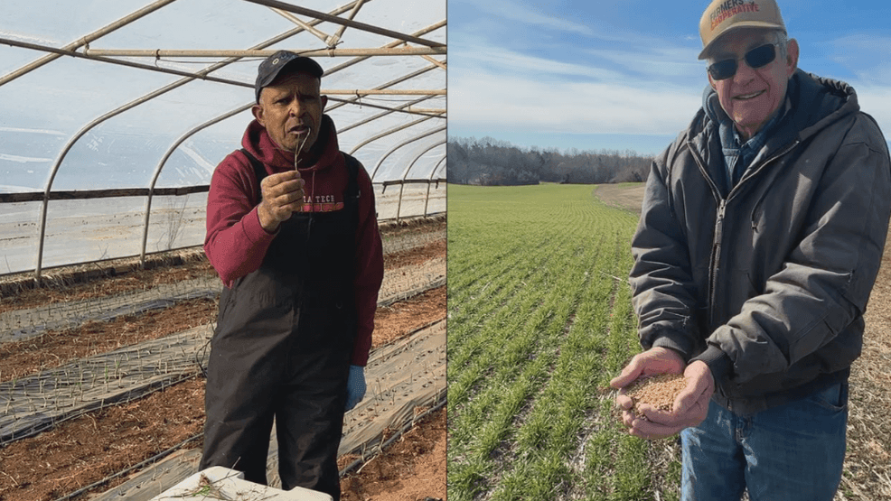 Charlotte County farmers grapple with drought conditions, hopeful for more rainfall. (Credit: Rachel Tillapaugh/WSET)
