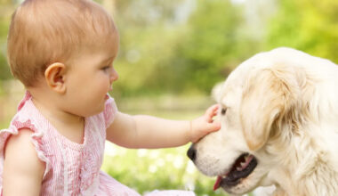 Yahoo lifestyle home