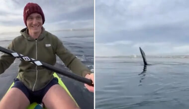 Yahoo lifestyle home