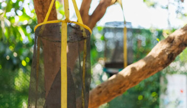 Yahoo lifestyle home