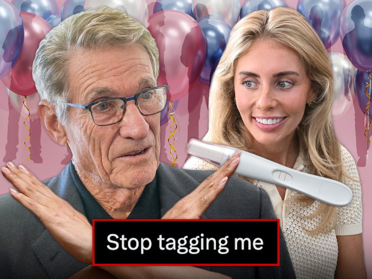 maury povich bonnie blue pregnancy main