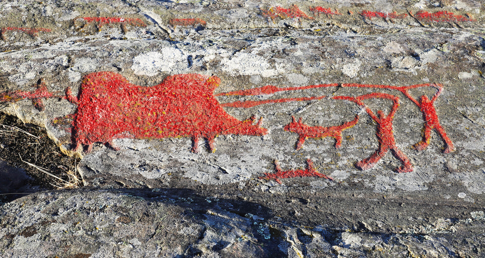 Poison discovery shows early humans were very advanced hunters