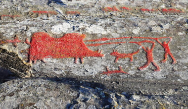 Poison discovery shows early humans were very advanced hunters