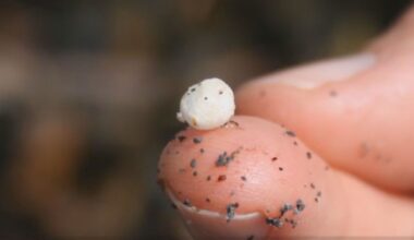 Legislation targets 'nurdles' pollution in US waterways; Michigan to test 'Great Bubble Barrier' in Grand River