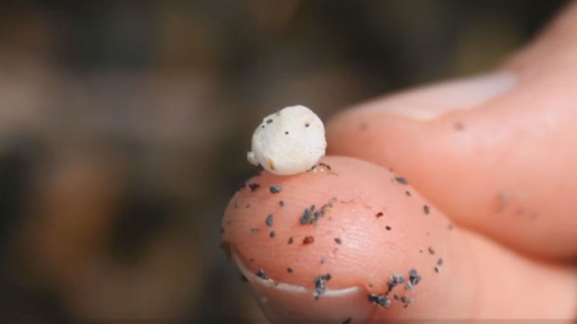 Legislation targets 'nurdles' pollution in US waterways; Michigan to test 'Great Bubble Barrier' in Grand River