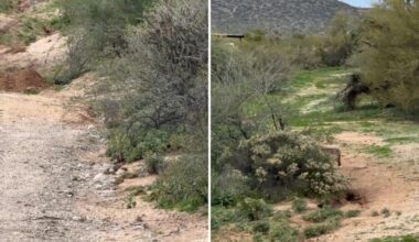 Yahoo lifestyle home