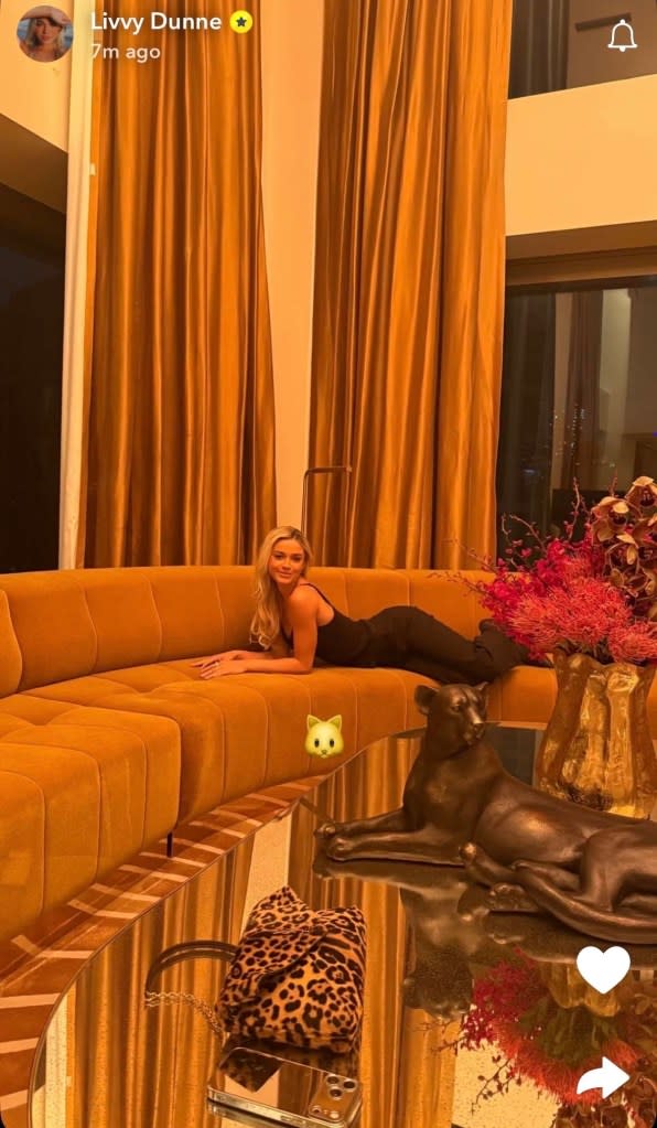 Photo Credit: @livvy_gymnast / Snapchat