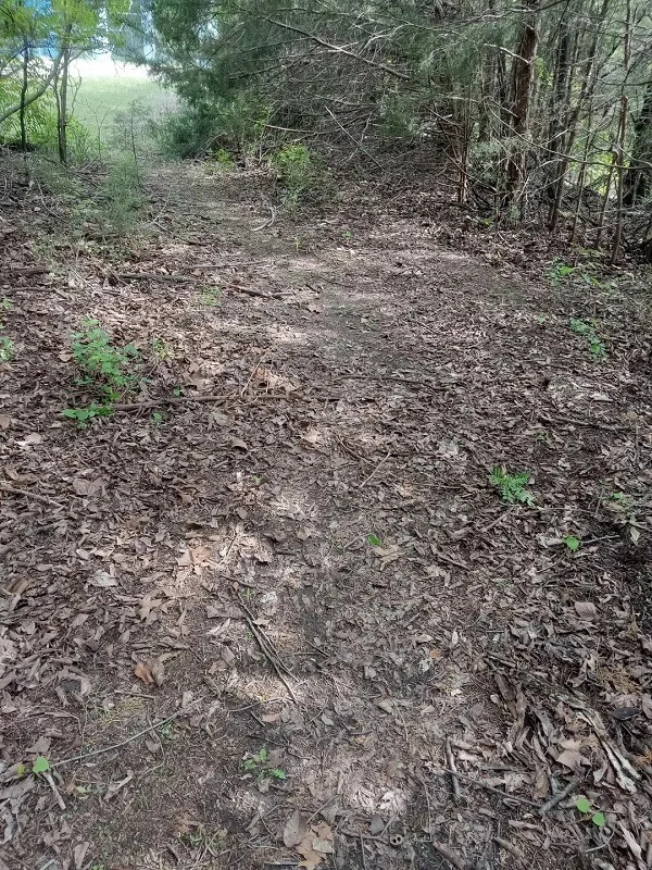 A Kansas local shared a satisfying cleanup of a litter-strewn woods, transforming it into a peaceful nature spot.