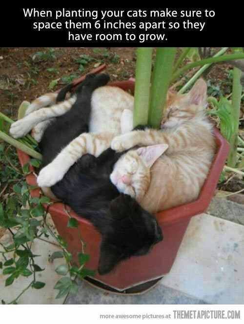 f5f425f5221bd55db85545c74ff628dc.jpg f5f425f5221bd55db85545c74ff628dc.jpg